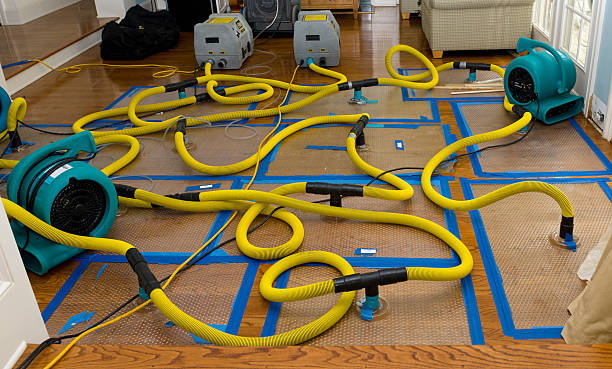 Professional residential water damage restoration equipment