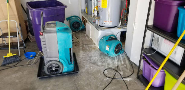 Water Damage Restoration Expert in Miami, FL